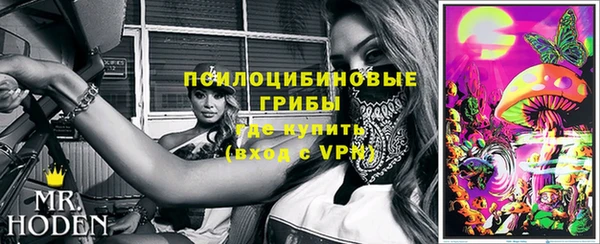 твердый Алексеевка